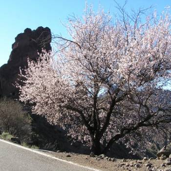 Panorama van Gran Canaria